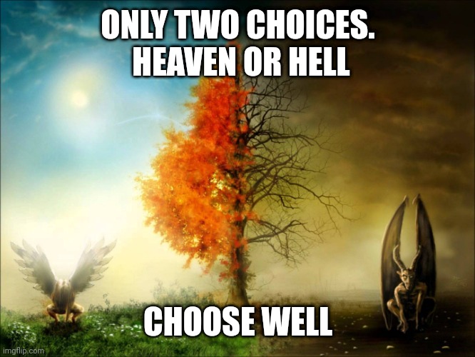Heaven and Hell | ONLY TWO CHOICES.  HEAVEN OR HELL; CHOOSE WELL | image tagged in heaven and hell | made w/ Imgflip meme maker