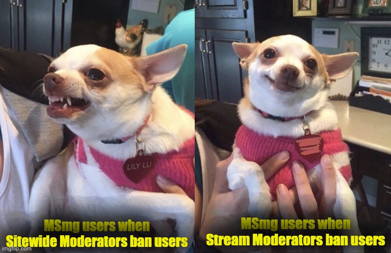 Angry Dog Smiling Dog | MSmg users when Stream Moderators ban users; MSmg users when Sitewide Moderators ban users | image tagged in angry dog smiling dog | made w/ Imgflip meme maker