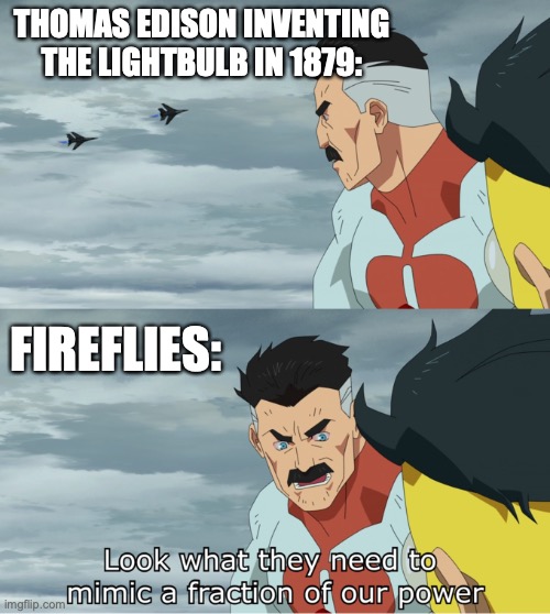 Fireflies | THOMAS EDISON INVENTING THE LIGHTBULB IN 1879:; FIREFLIES: | image tagged in fraction of our power,human,firefly,bugs,memes,funny | made w/ Imgflip meme maker