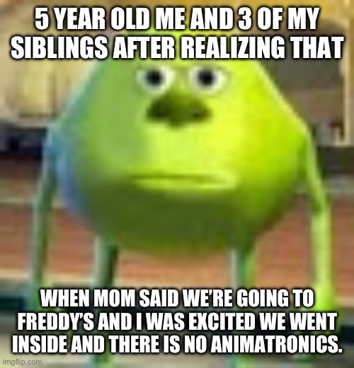 Sully Wazowski | 5 YEAR OLD ME AND 3 OF MY SIBLINGS AFTER REALIZING THAT; WHEN MOM SAID WE’RE GOING TO FREDDY’S AND I WAS EXCITED WE WENT INSIDE AND THERE IS NO ANIMATRONICS. | image tagged in sully wazowski | made w/ Imgflip meme maker