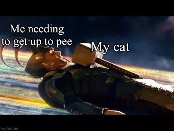 Me needing to get up to pee; My cat | image tagged in cats,funny cat memes,marvel,loki,cat,kitty | made w/ Imgflip meme maker