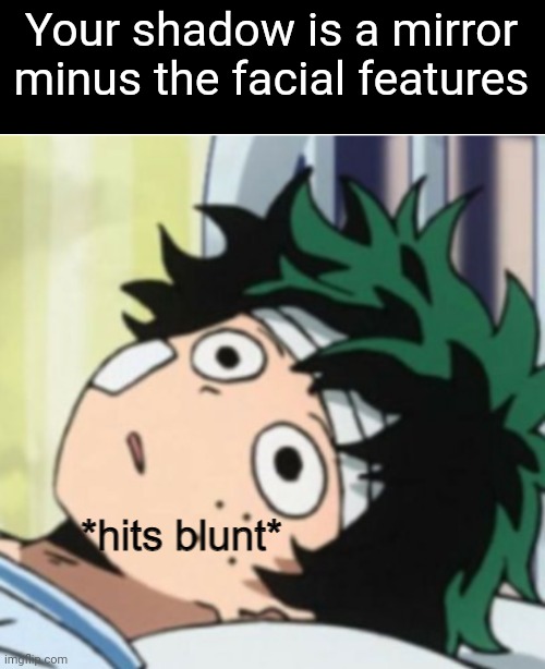 And everything else. | Your shadow is a mirror minus the facial features | image tagged in hits blunt deku ver | made w/ Imgflip meme maker