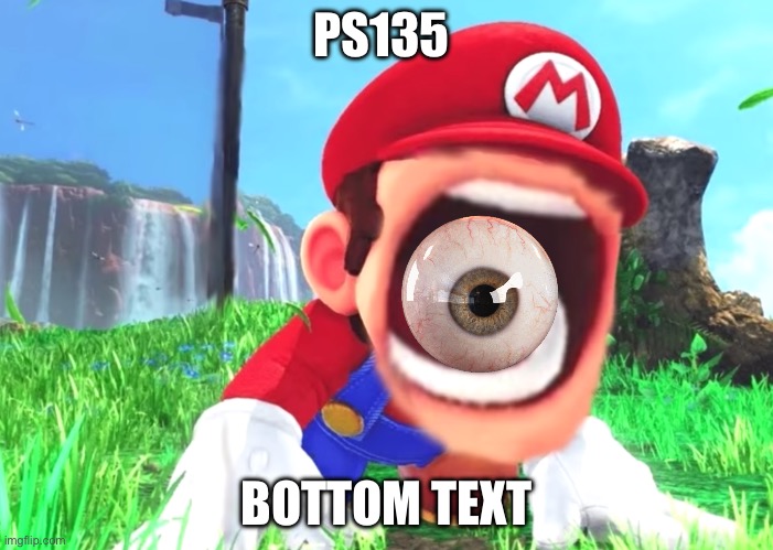 Mario screaming | PS135; BOTTOM TEXT | image tagged in mario screaming | made w/ Imgflip meme maker