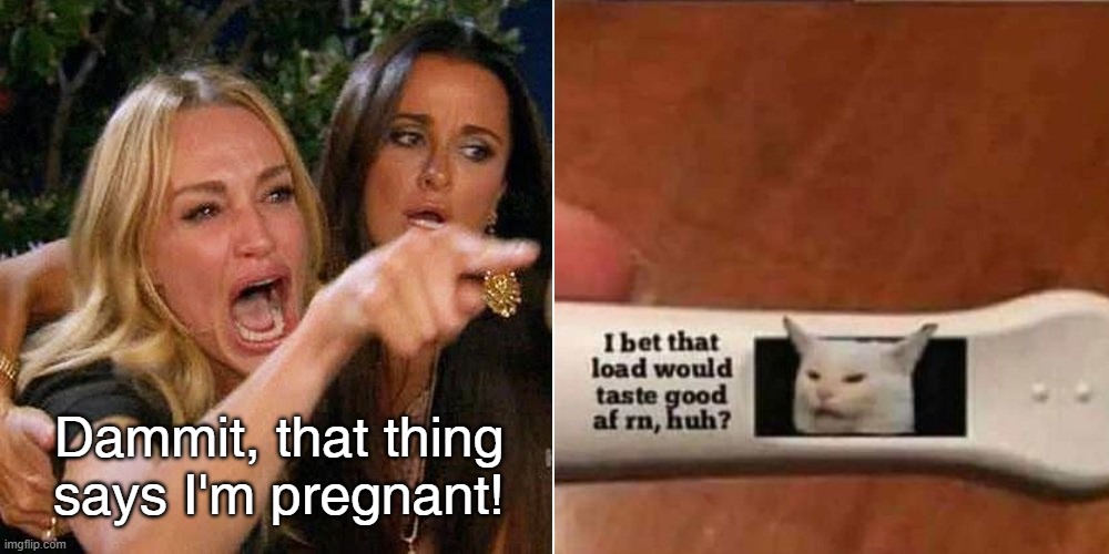 The Smudge pregnancy test | Dammit, that thing
says I'm pregnant! | image tagged in smudge,yelling lady | made w/ Imgflip meme maker