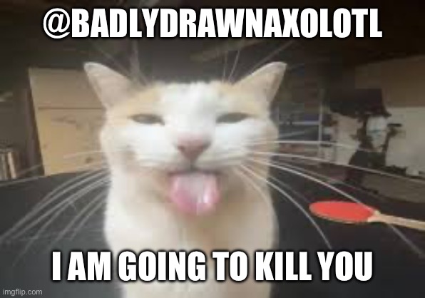 Cat | @BADLYDRAWNAXOLOTL; I AM GOING TO KILL YOU | image tagged in cat | made w/ Imgflip meme maker
