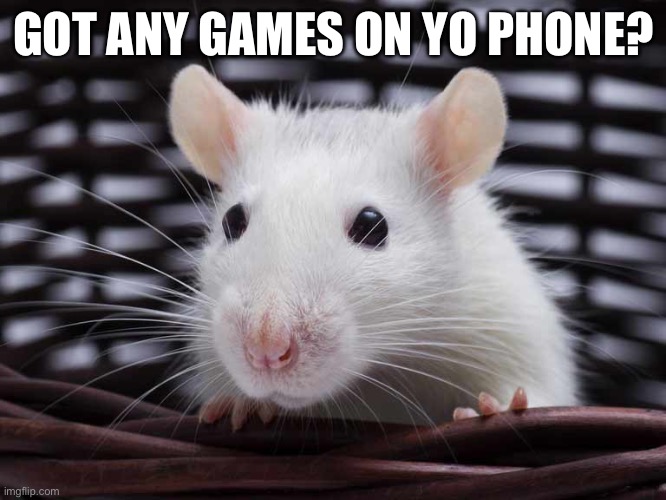 R a t | GOT ANY GAMES ON YO PHONE? | image tagged in rat,video games,gaming,memes | made w/ Imgflip meme maker