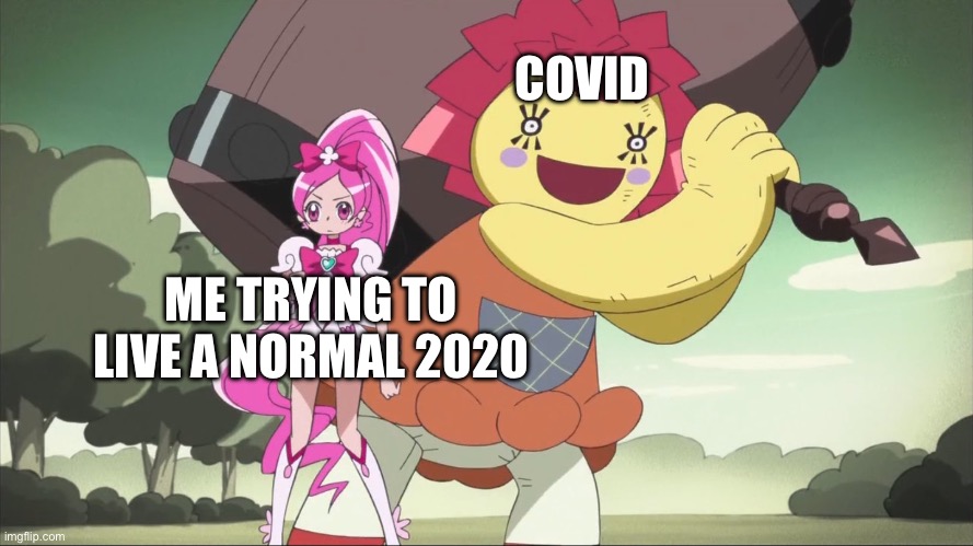 Cure Blossom about to get hit by evil doll (Heartcatch PreCure!) | COVID; ME TRYING TO LIVE A NORMAL 2020 | image tagged in cure blossom about to get hit by evil doll heartcatch precure | made w/ Imgflip meme maker