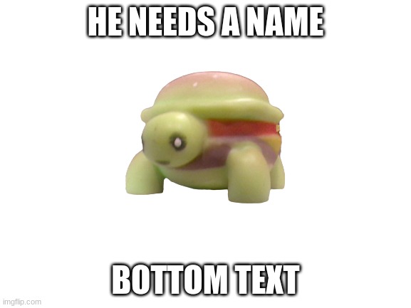 turtle burger | HE NEEDS A NAME; BOTTOM TEXT | made w/ Imgflip meme maker