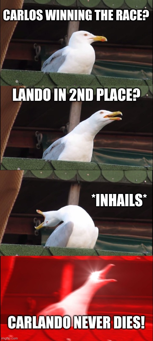 Inhaling Seagull | CARLOS WINNING THE RACE? LANDO IN 2ND PLACE? *INHAILS*; CARLANDO NEVER DIES! | image tagged in memes,inhaling seagull | made w/ Imgflip meme maker