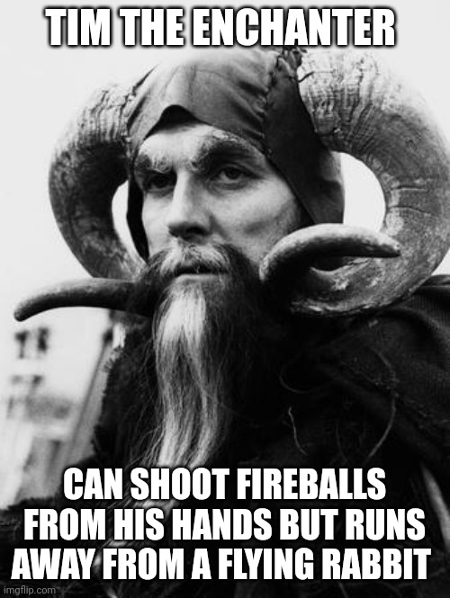 Monty python | TIM THE ENCHANTER; CAN SHOOT FIREBALLS FROM HIS HANDS BUT RUNS AWAY FROM A FLYING RABBIT | image tagged in monty python and the holy grail | made w/ Imgflip meme maker