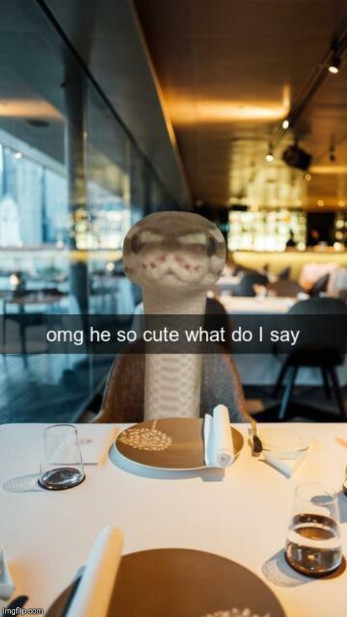 omg what do I say ?? | image tagged in snake,front facing snake,snapchat,dating,date,cute | made w/ Imgflip meme maker