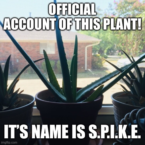 OFFICIAL ACCOUNT OF THIS PLANT! IT’S NAME IS S.P.I.K.E. | made w/ Imgflip meme maker