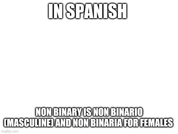 IN SPANISH; NON BINARY IS NON BINARIO (MASCULINE) AND NON BINARIA FOR FEMALES | made w/ Imgflip meme maker