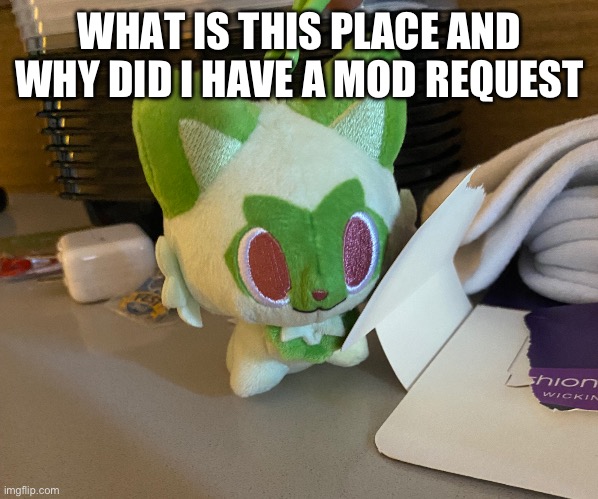 Scrimblo | WHAT IS THIS PLACE AND WHY DID I HAVE A MOD REQUEST | image tagged in scrimblo | made w/ Imgflip meme maker