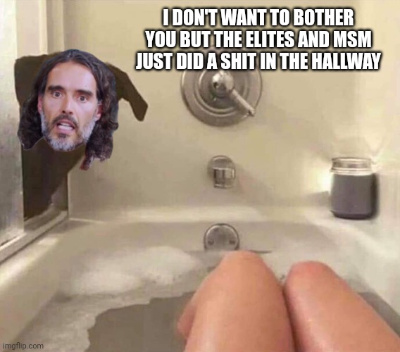 Russell Brand | I DON'T WANT TO BOTHER YOU BUT THE ELITES AND MSM JUST DID A SHIT IN THE HALLWAY | image tagged in dog interrupts bath,dispatches,russell brand | made w/ Imgflip meme maker