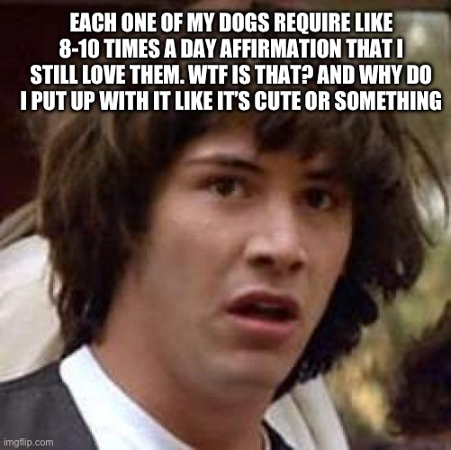 My dogs are too demanding | EACH ONE OF MY DOGS REQUIRE LIKE 8-10 TIMES A DAY AFFIRMATION THAT I STILL LOVE THEM. WTF IS THAT? AND WHY DO I PUT UP WITH IT LIKE IT’S CUTE OR SOMETHING | image tagged in memes,conspiracy keanu,funny dogs,slave,funny dog memes | made w/ Imgflip meme maker