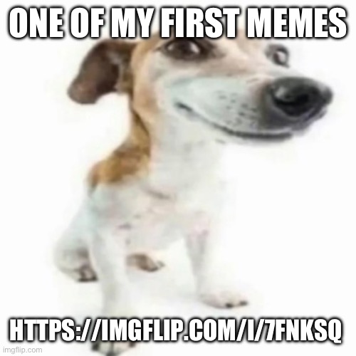 Caution: very cringe | ONE OF MY FIRST MEMES; HTTPS://IMGFLIP.COM/I/7FNKSQ | image tagged in beer keg and dog,memes,old,cringe | made w/ Imgflip meme maker