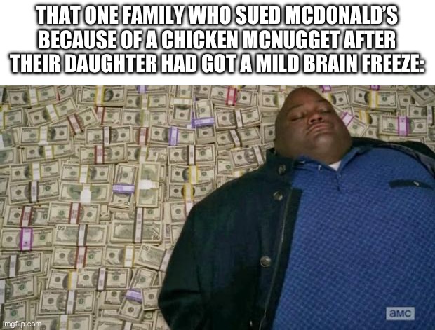 huell money | THAT ONE FAMILY WHO SUED MCDONALD’S BECAUSE OF A CHICKEN MCNUGGET AFTER THEIR DAUGHTER HAD GOT A MILD BRAIN FREEZE: | image tagged in huell money | made w/ Imgflip meme maker