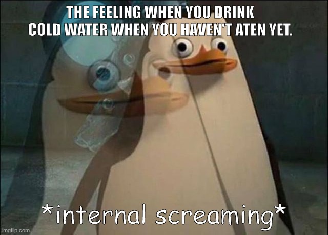 a h h h h h | THE FEELING WHEN YOU DRINK COLD WATER WHEN YOU HAVEN'T ATEN YET. | image tagged in private internal screaming | made w/ Imgflip meme maker