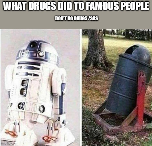 Don't Do Drugs | WHAT DRUGS DID TO FAMOUS PEOPLE; DON'T DO DRUGS /SRS | image tagged in don't do drugs | made w/ Imgflip meme maker