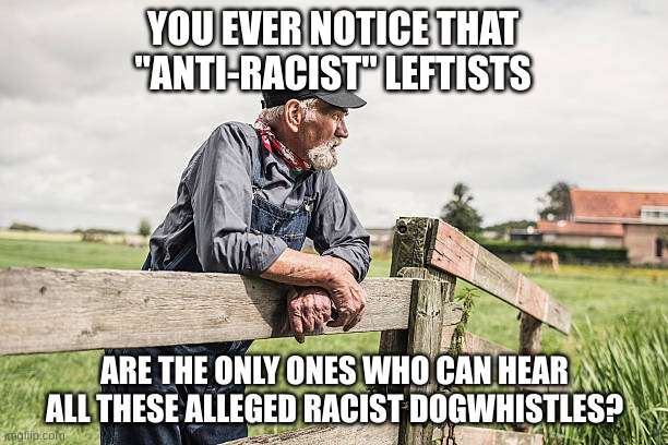 7zhjkf.jpg
