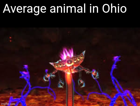 6y6e435jof7ry2iti | Average animal in Ohio | image tagged in ohio,sonic the hedgehog | made w/ Imgflip meme maker