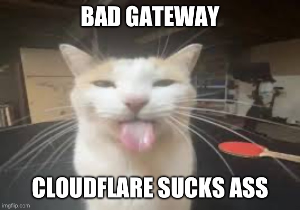 Cat | BAD GATEWAY; CLOUDFLARE SUCKS ASS | image tagged in cat | made w/ Imgflip meme maker