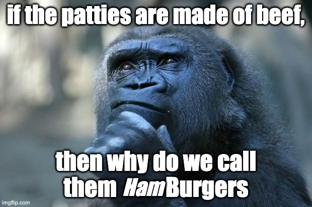 Deep Thoughts | if the patties are made of beef, then why do we call them           Burgers; Ham | image tagged in deep thoughts,burger,thoughts | made w/ Imgflip meme maker