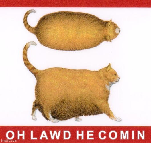 OH LAWD HE COMIN | image tagged in oh lawd he comin | made w/ Imgflip meme maker