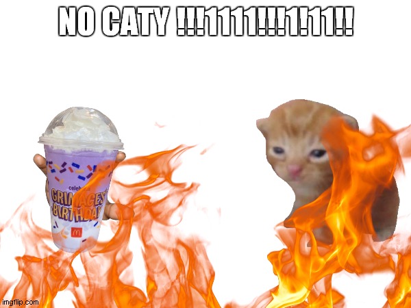 no caty you grimace !!!1 | NO CATY !!!1111!!!1!11!! | image tagged in memes | made w/ Imgflip meme maker