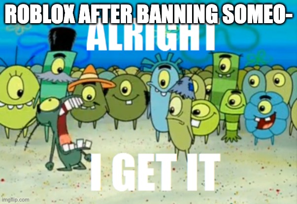 I couldn't find the original meme so I decided to make it myself | ROBLOX AFTER BANNING SOMEO- | image tagged in alright i get it,banned from roblox | made w/ Imgflip meme maker