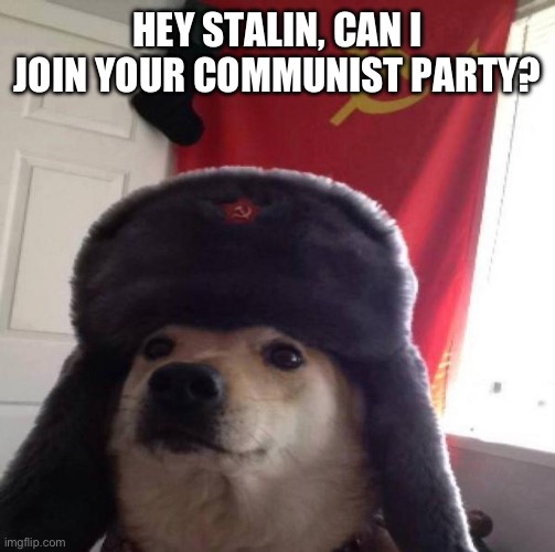 Russian Doge | HEY STALIN, CAN I JOIN YOUR COMMUNIST PARTY? | image tagged in russian doge | made w/ Imgflip meme maker