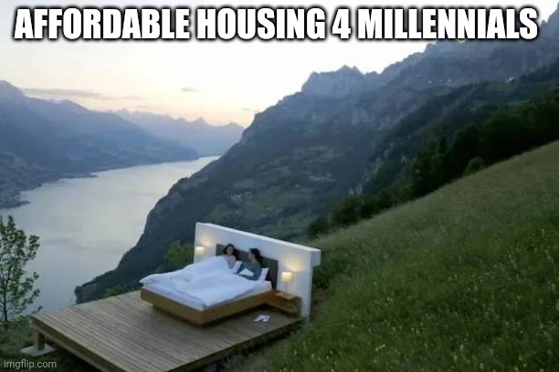 Housing | AFFORDABLE HOUSING 4 MILLENNIALS | image tagged in funny | made w/ Imgflip meme maker