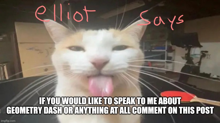 elliot says | IF YOU WOULD LIKE TO SPEAK TO ME ABOUT GEOMETRY DASH OR ANYTHING AT ALL COMMENT ON THIS POST | image tagged in elliot says | made w/ Imgflip meme maker