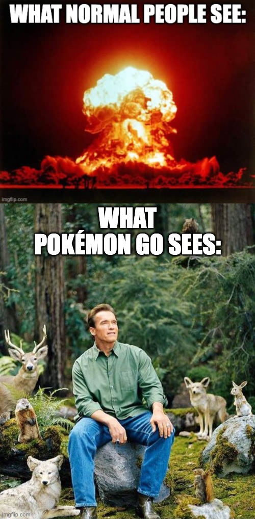 Pokémon GO moment | WHAT POKÉMON GO SEES: | image tagged in arnold nature | made w/ Imgflip meme maker