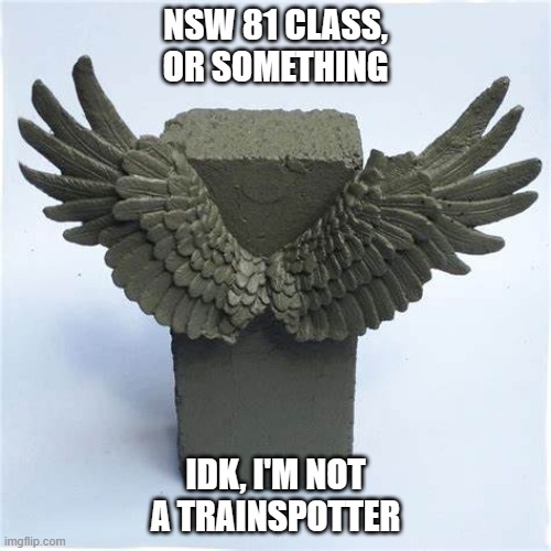 NSW Class 81 meme | NSW 81 CLASS, OR SOMETHING; IDK, I'M NOT A TRAINSPOTTER | image tagged in railfanning,railfan,trainspotting,australia,flying brick,brick | made w/ Imgflip meme maker