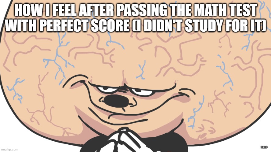 Smart Mokey | HOW I FEEL AFTER PASSING THE MATH TEST WITH PERFECT SCORE (I DIDN'T STUDY FOR IT) | image tagged in smart mokey,mokey,math | made w/ Imgflip meme maker