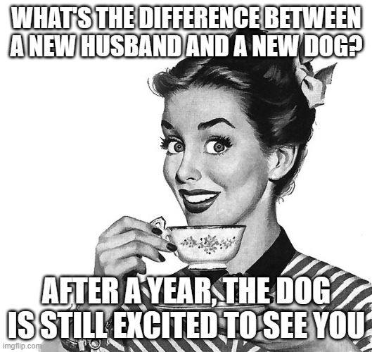 Retro woman teacup | WHAT'S THE DIFFERENCE BETWEEN A NEW HUSBAND AND A NEW DOG? AFTER A YEAR, THE DOG IS STILL EXCITED TO SEE YOU | image tagged in retro woman teacup | made w/ Imgflip meme maker