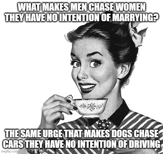 Retro woman teacup | WHAT MAKES MEN CHASE WOMEN THEY HAVE NO INTENTION OF MARRYING? THE SAME URGE THAT MAKES DOGS CHASE CARS THEY HAVE NO INTENTION OF DRIVING | image tagged in retro woman teacup | made w/ Imgflip meme maker