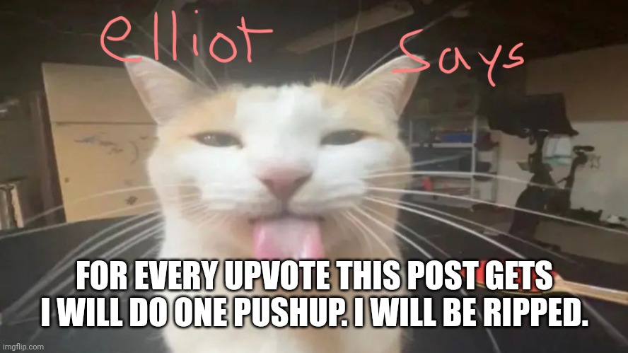please | FOR EVERY UPVOTE THIS POST GETS I WILL DO ONE PUSHUP. I WILL BE RIPPED. | image tagged in elliot says | made w/ Imgflip meme maker