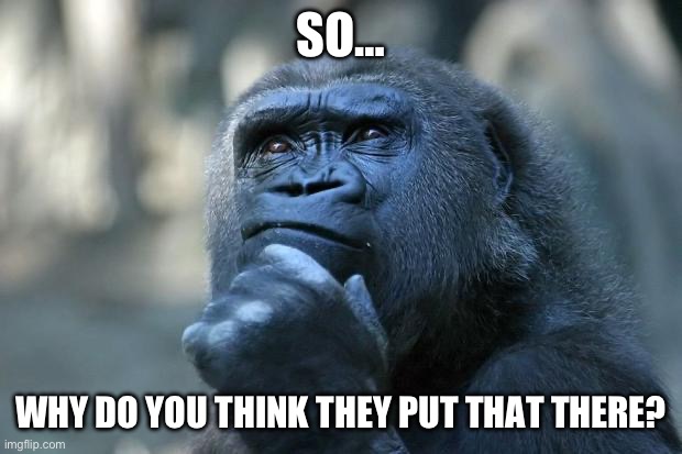Deep Thoughts | SO… WHY DO YOU THINK THEY PUT THAT THERE? | image tagged in deep thoughts | made w/ Imgflip meme maker