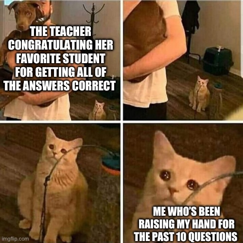 Sucks doesn’t it | THE TEACHER CONGRATULATING HER FAVORITE STUDENT FOR GETTING ALL OF THE ANSWERS CORRECT; ME WHO’S BEEN RAISING MY HAND FOR THE PAST 10 QUESTIONS | image tagged in sad cat holding dog | made w/ Imgflip meme maker