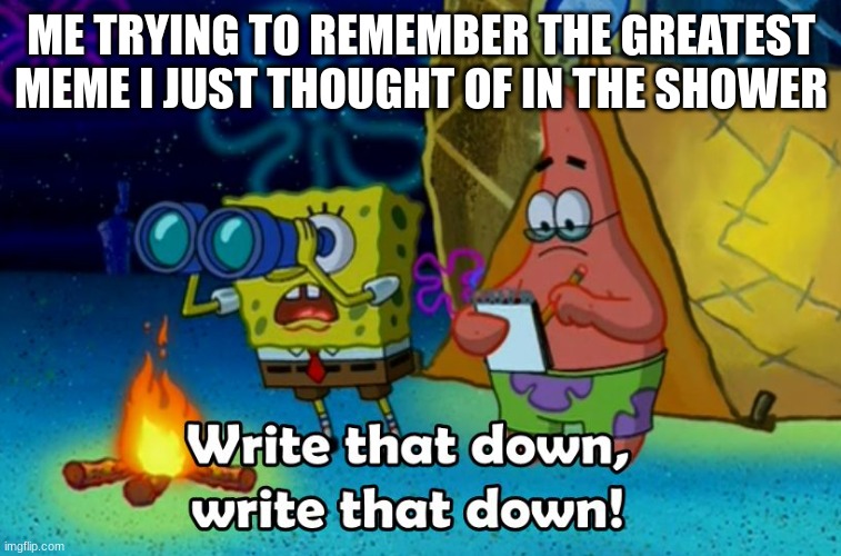 relatable | ME TRYING TO REMEMBER THE GREATEST MEME I JUST THOUGHT OF IN THE SHOWER | image tagged in write that down | made w/ Imgflip meme maker