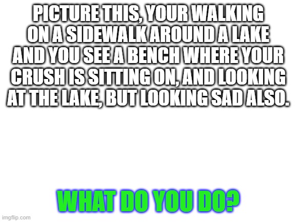 What do you do? | PICTURE THIS, YOUR WALKING ON A SIDEWALK AROUND A LAKE AND YOU SEE A BENCH WHERE YOUR CRUSH IS SITTING ON, AND LOOKING AT THE LAKE, BUT LOOKING SAD ALSO. WHAT DO YOU DO? | image tagged in blank white template,crush | made w/ Imgflip meme maker