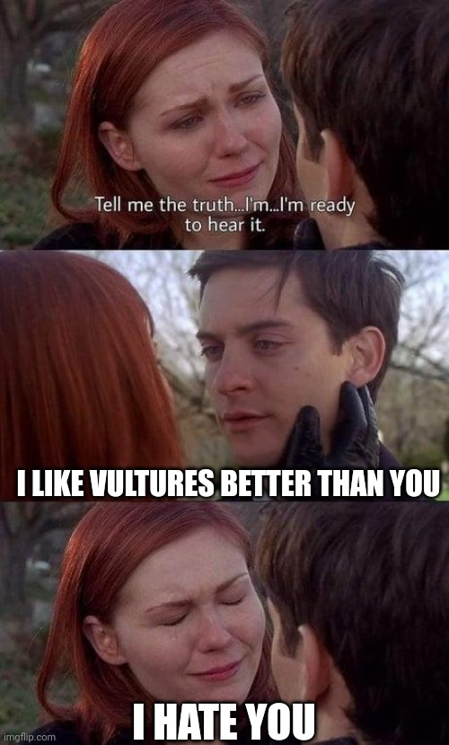 Tell me the truth, I'm ready to hear it | I LIKE VULTURES BETTER THAN YOU; I HATE YOU | image tagged in tell me the truth i'm ready to hear it | made w/ Imgflip meme maker