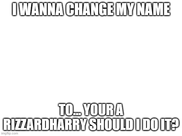 should i???? | I WANNA CHANGE MY NAME; TO... YOUR A RIZZARDHARRY SHOULD I DO IT? | image tagged in you're a wizard harry | made w/ Imgflip meme maker