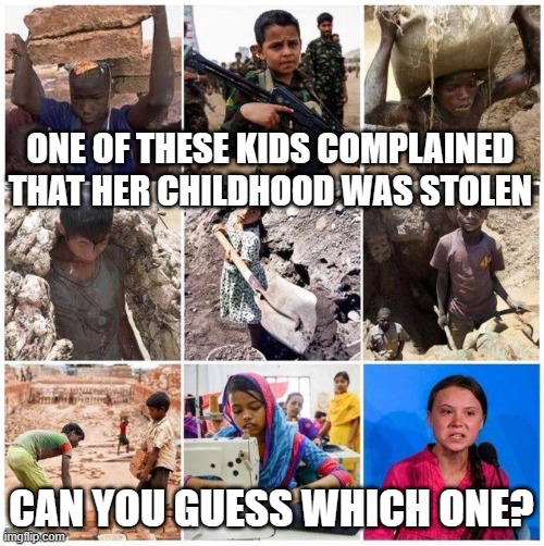 Greta whines | ONE OF THESE KIDS COMPLAINED THAT HER CHILDHOOD WAS STOLEN; CAN YOU GUESS WHICH ONE? | image tagged in greta thunberg,climate change | made w/ Imgflip meme maker