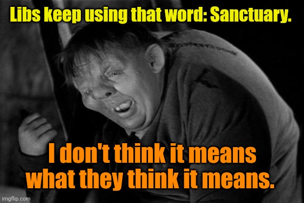 Quasimodo | Libs keep using that word: Sanctuary. I don't think it means what they think it means. | image tagged in quasimodo | made w/ Imgflip meme maker