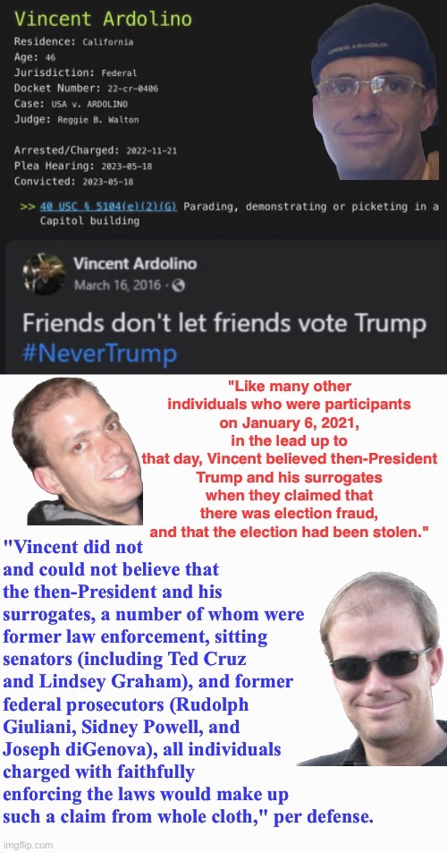 'Never'land Vinny | image tagged in domestic terrorists,traitors,treason,vincent loves a 'parade',safety in numbers,criminal | made w/ Imgflip meme maker