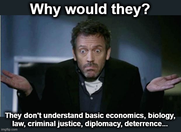 SHRUG | Why would they? They don't understand basic economics, biology,
law, criminal justice, diplomacy, deterrence... | image tagged in shrug | made w/ Imgflip meme maker